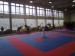 14.kolo Středoevropského poháru nadějí v karate v Havířově 09.03.2013_06